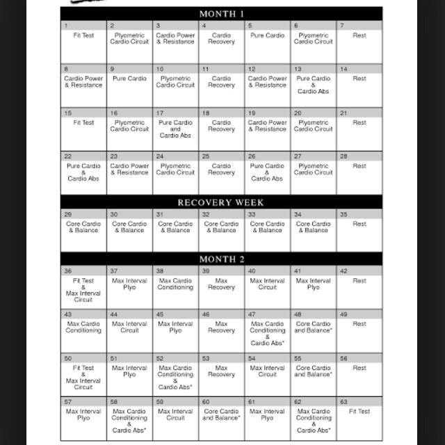 insanity workout free full download